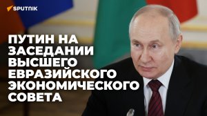 Путин на заседании Высшего Евразийского экономического совета в Кремле