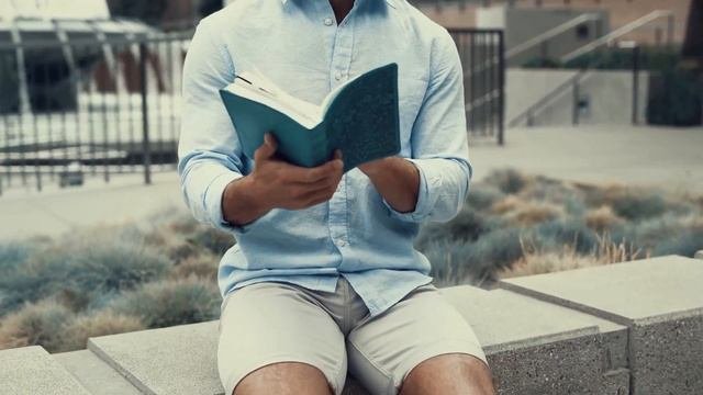 Алхимик ( Обзор книги )