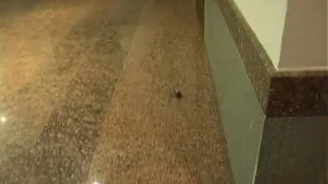 Продажа / аренда здания в Екатеринбурге, Розы Люксембург, 26 смотреть онлайн