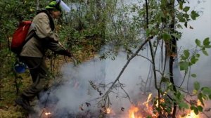 С Днем лесника!