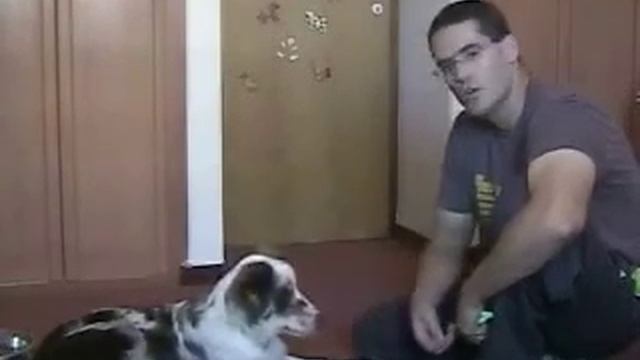 Кликер-дрессировка собак: 2)Кличка