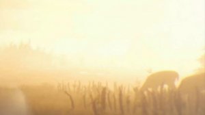 That's The Way It Is (Daniel Lanois) Red Dead Redemption II Original Soundtrack