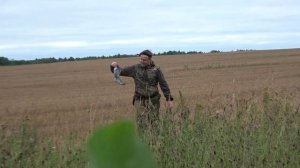 Охота на вяхиря #3 Снова всё пошло не по плану