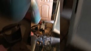Как подороже продать старый холодильник