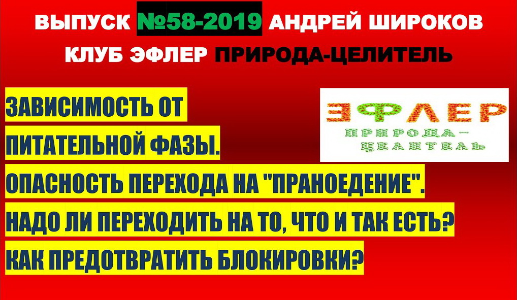 ВНУТРЕННИЙ ЭФИРНЫЙ СИНТЕЗ. ПЕРЕХОД НА ПРАНУ. НАДО ЛИ ПЕРЕХОДИТЬ НА ТО, ЧТО И ТАК ЕСТЬ? ЗАВИСИМОСТИ.
