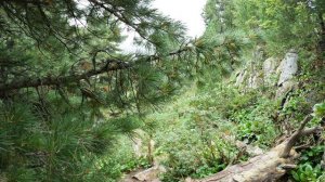 А мы все идем...