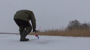 ЩУКА И ОКУНЬ ЗАЖИГАЮТ ЖЕРЛИЦЫ! Первый лед 2021-2022! Ловля Окуня на безмотылку! Подводная съемка