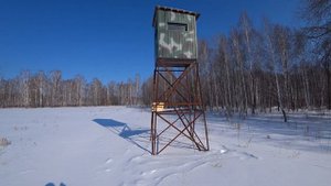 Охотничья вышка в охотхозяйстве
