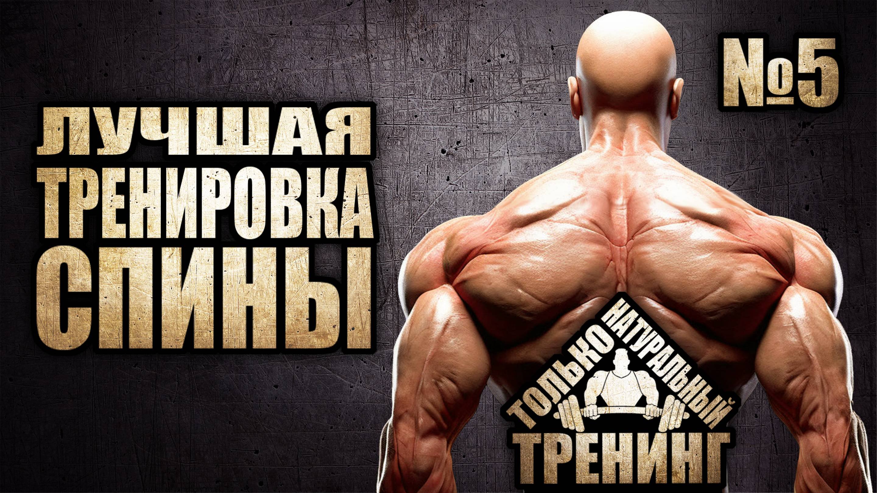 Лучшая тренировка спины