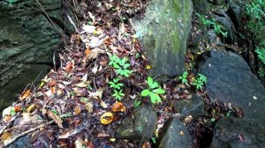 Остров Ко Ланта - пляжи, пещеры, люди острова Ко Ланта