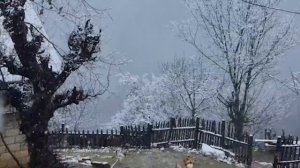 ГОТОВИЛИ ХЛЕБ ТАНДИР И ПЕРЕЧНУЮ ПАСТУ Азербайджанская Кухня Деревенская Кухня  Рецепты