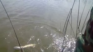 Рыбалка на Акатовском озере