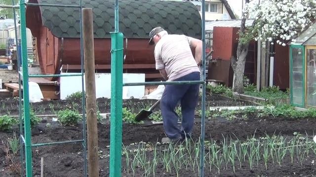 ДАЧНЫЕ  ДЕЛА