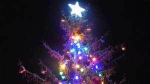 Пушкинские горы предновогодние