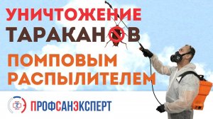 Уничтожение тараканов помповым распылителем в подвале и на кухне