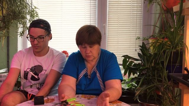 Самый дешевый лучший способ посадки петунии
