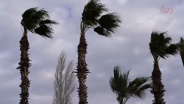 Лучшая Притча О СИЛЕ И ЛАСКЕ. Притчи в картинках.