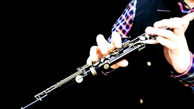 J.S.Bach: Partita in A minor BWV1013 with accompaniment смотреть онлайн