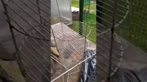 Готовка мяса в тандыре Гектор Технокерамика