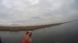 Озеро Кривое новое место Трудовая рыбалка Разведка ноябрь 2016