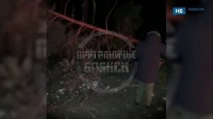 Появились кадры с последствиями ночной атаки ВСУ на Суражский район