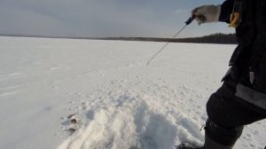Самодельная зимняя блесна - тест, ловля окуня в глухозимье 2021.