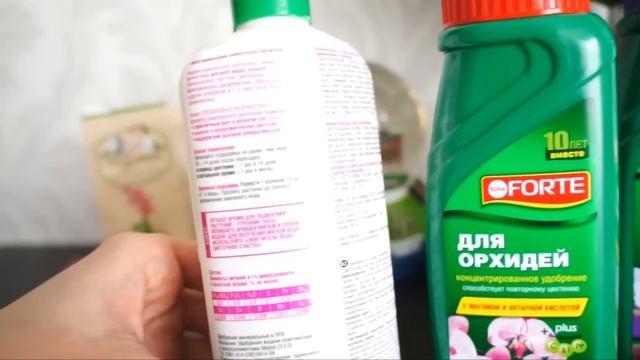 КАК УДОБРЯТЬ ОРХИДЕЮ? МОИ СОВЕТЫ.
