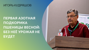 Первая азотная подкормка пшеницы весной: без неё урожая не будет