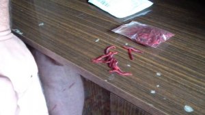 СЕЛИКОНОВЫЕ НАСАДКИ ДЛЯ РЫБАЛКИ, КРАСНЫЙ ЧЕРВЬ, СУПЕР НАСАДКА, АЛИЭКСПРЕСС