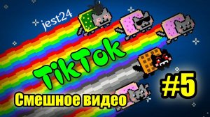 Приколы TikTok / Смешное видео #5