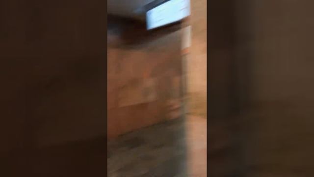 Москва ст.м. Краснопресненская/Баррикадная