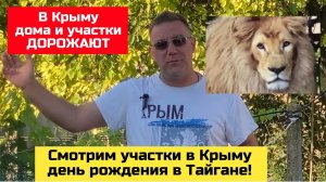 Крым, ТАЙГАН, смотрим участки в Крыму с Ярославом ФРОЛОВЫМ | купить дом в КРЫМУ