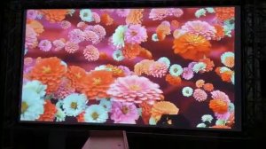 Экран для проектора 5000мм. х 2800мм.