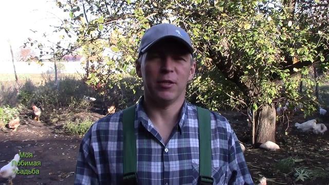 ЧТО СДЕЛАТЬ ЧТОБЫ ОТУЧИТЬ КУРИЦУ СИДЕТЬ НА ЯЙЦАХ//МОЯ ЛЮБИМАЯ УСАДЬБА смотреть онлайн