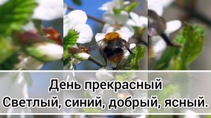 Доброе утро, весна красавица пришла!