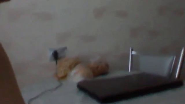 Бутар смотреть онлайн