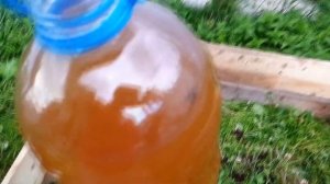 Вермикомпостер своими руками. Разведение червей на даче. Калифорнийский червь. Червь старатель.