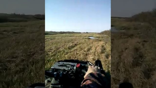 Катаемся летом на снегоходе смотреть онлайн