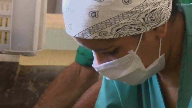 Granma será la sede de las actividades centrales del país por el día del trabajador agropecuario. смотреть онлайн