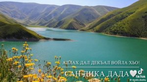 Дала декъал войла.