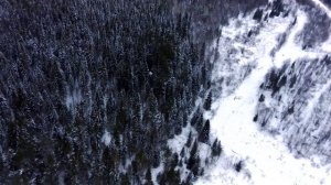 Гремячий, Сямженский район.