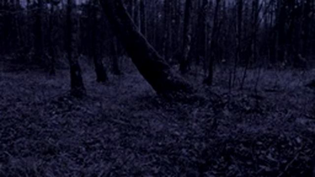 the noise of rain, thunderstorms and lightning, шум дождя, грозы и молнии смотреть онлайн