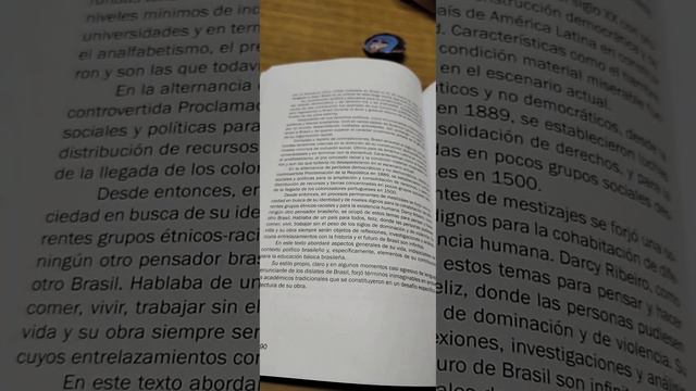 Darcy Ribeiro y la educación brasileña: elementos de su obra política e intelectual. Jaqueline Moll