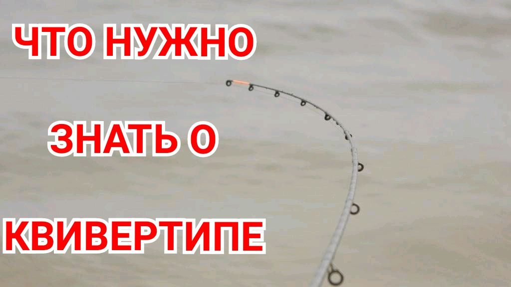 Ошибка Начинающих Рыболовов в выборе Квивертипа