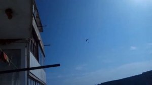 День ВДВ, Заринск 2019