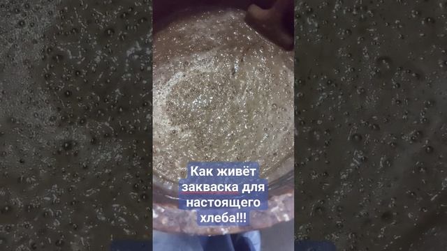 Закваска для домашнего хлеба! Настоящий хлеб!