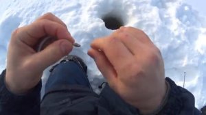 Зимняя рыбалка в Карелии на Верхнем-Куйто с женой ч4.