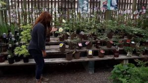 A Tour of My Parent’s Garden Center! 🌿🙌💚// Garden Answer