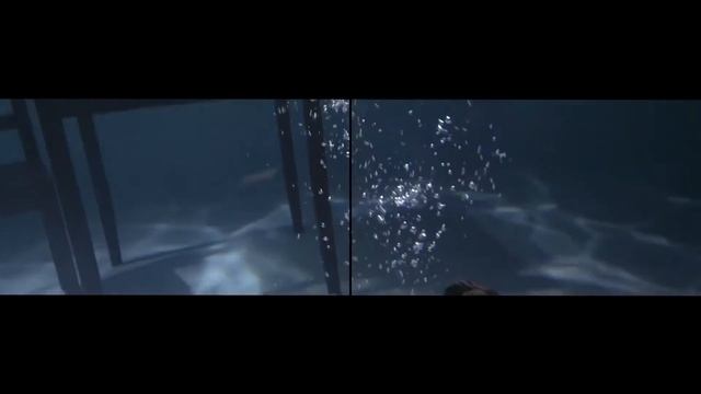 Вячеслав Гребенкин и Николай Злобин - О подводных съемках смотреть онлайн