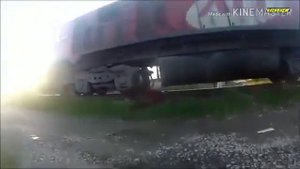 Животные против поездов. ЖЕСТКО